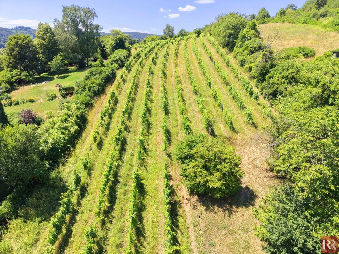 Großzügiges Grundstück mit Weitblick