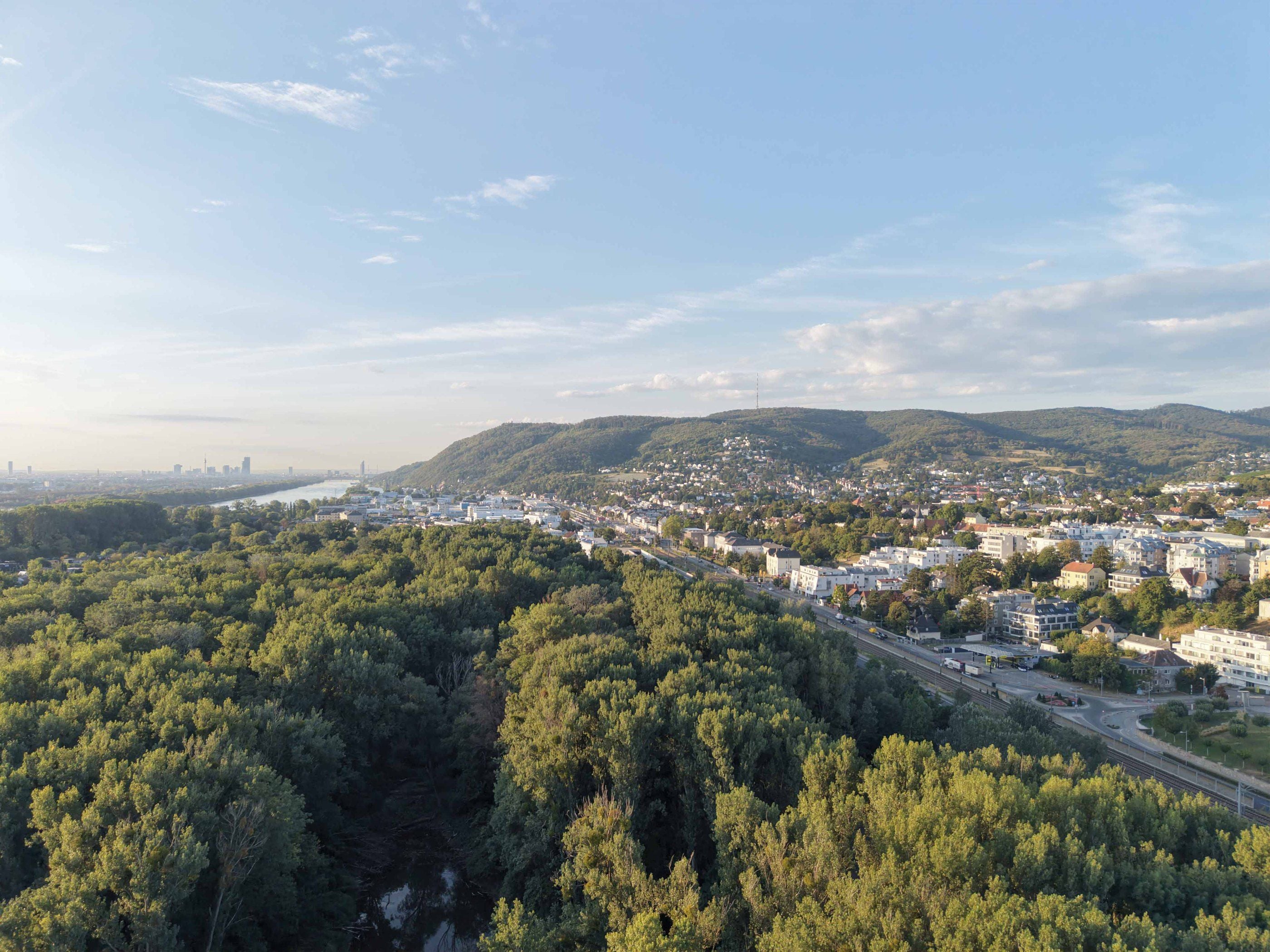 Blick über die Au Richtung Wien und Klosterneuburg